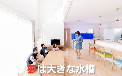 鹿沼につくった大きな水槽のあるお家