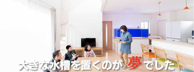 鹿沼に建てた大きな水槽のあるお家とその家族